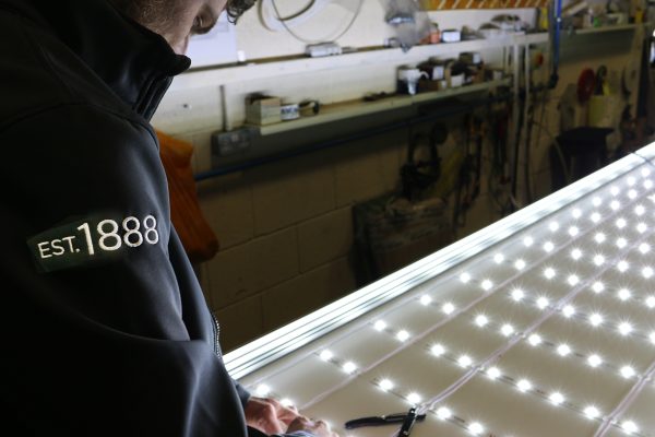 National Led Day